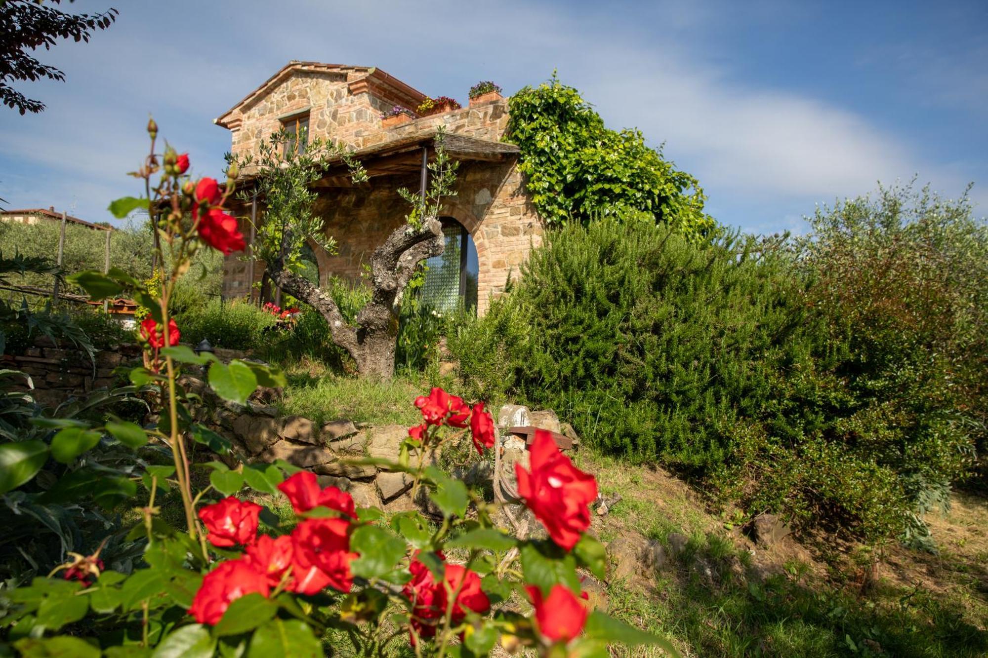 Il Poggio Dell'Eremita Apartment Rigomagno Exterior photo
